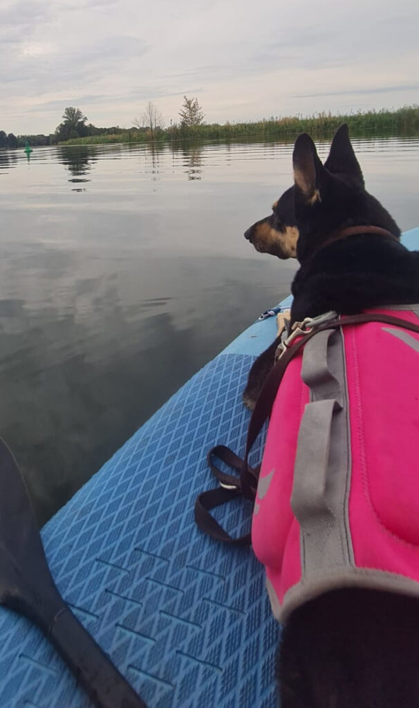 Paddeln in Brandenburg an der Havel - Bilder